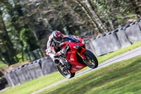 Oulton-Park-20th-March-2020;PJ-Motorsport-Photography-2020;anglesey;brands-hatch;cadwell-park;croft;donington-park;enduro-digital-images;event-digital-images;eventdigitalimages;mallory;no-limits;oulton-park;peter-wileman-photography;racing-digital-images;silverstone;snetterton;trackday-digital-images;trackday-photos;vmcc-banbury-run;welsh-2-day-enduro